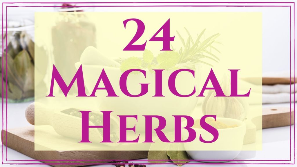 24 magic herbs