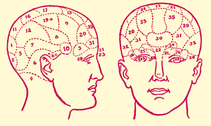 phrenology