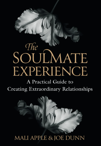 soulmate experience