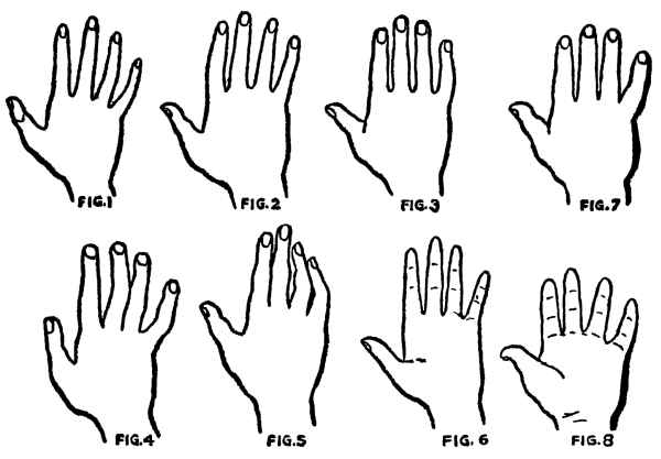 palm reading
